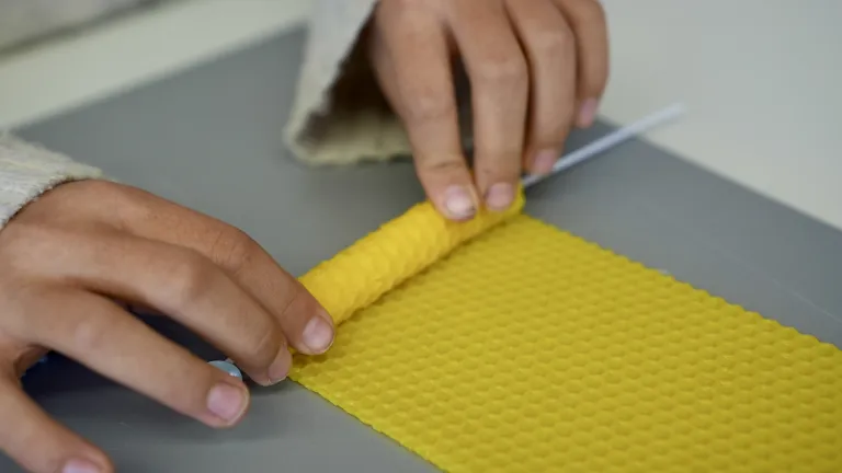 Eine Kerze wird aus Bienenwachs gerollt.