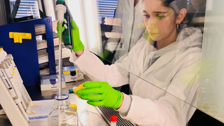 Laborarbeit an der Sicherheitswerkbank