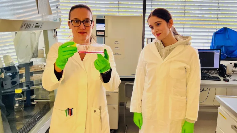 Dr. Katja Matt zeigt kultivierte Zellen, die f�r Forschungsarbeiten verwendet werden.