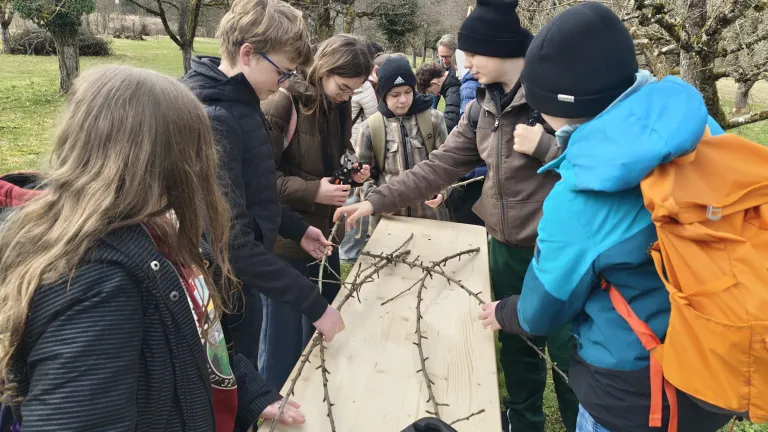 Die G8a beim Veredeln von Obstb�umen