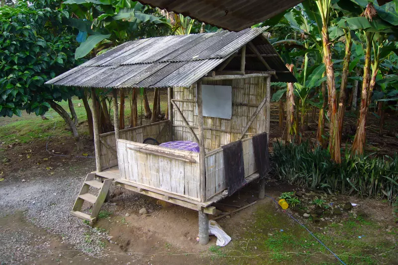 Hütte im Dschungel