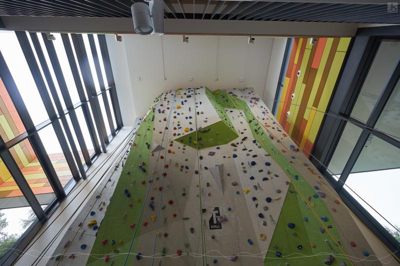 Kletterwand in der Lizarena