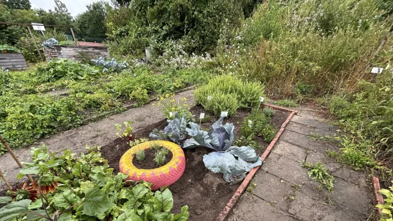 Upgecycelter Autoreifen im Schulgarten