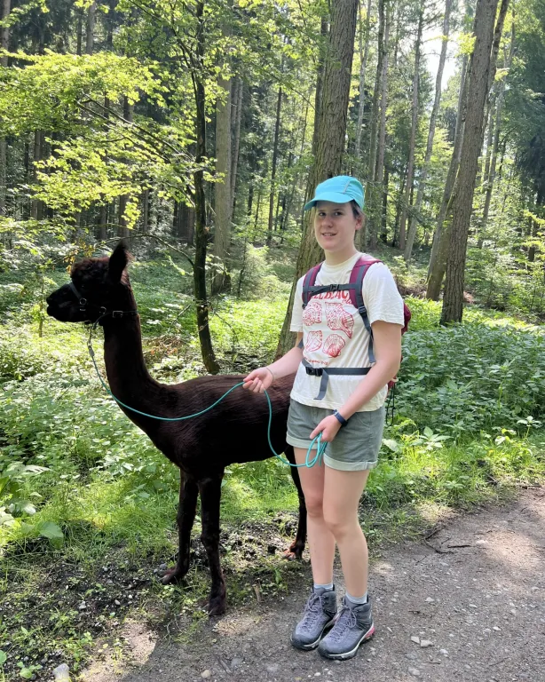 Bei der Alpaka-Wanderung