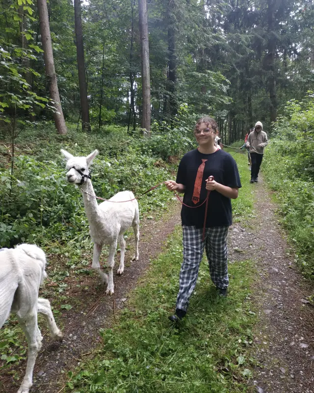 Wanderung mit Alpaka