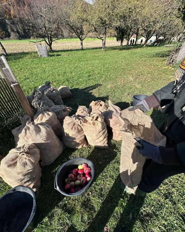 S�cke mit �pfeln